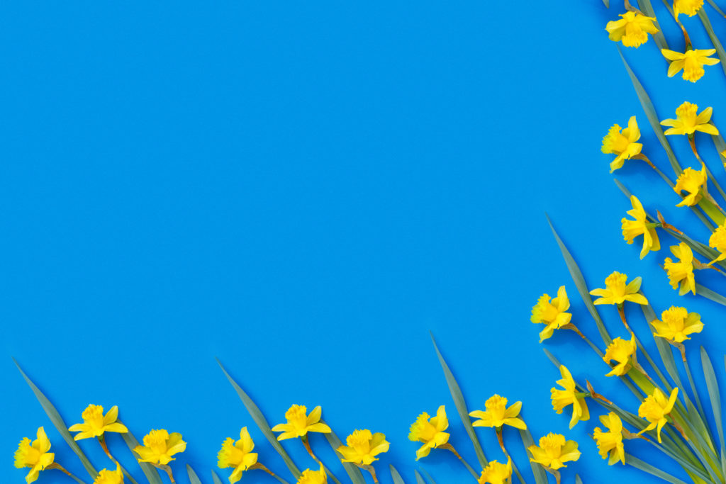 Spring news out now including Awareness Week update